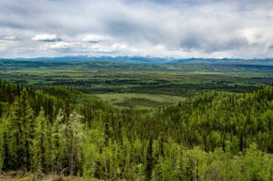 Ausblick am Klondike Highway